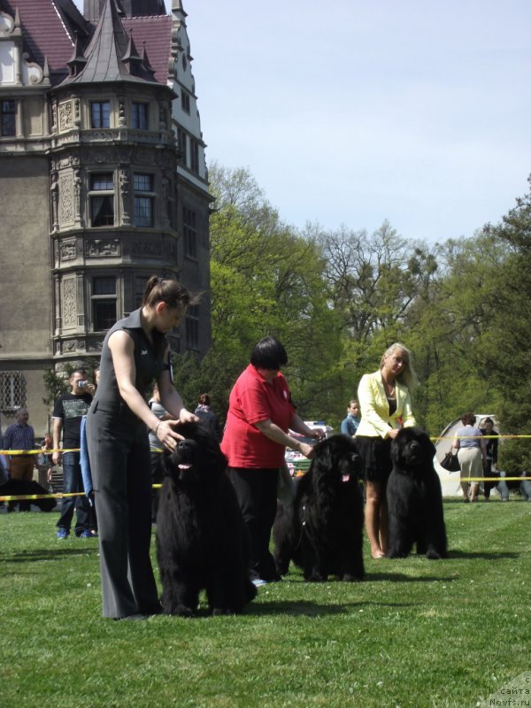 Фотография № 180802