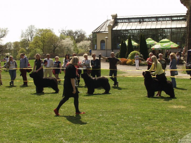 Фотография № 180803