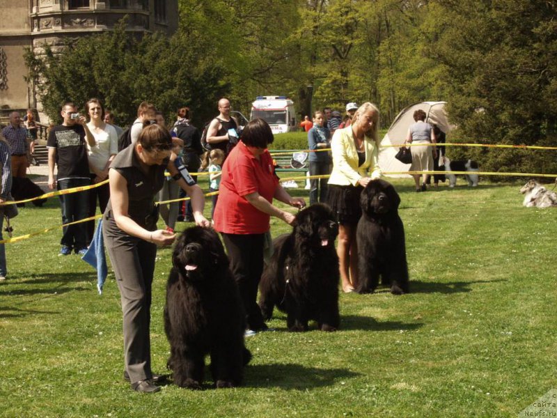 Фотография № 180804