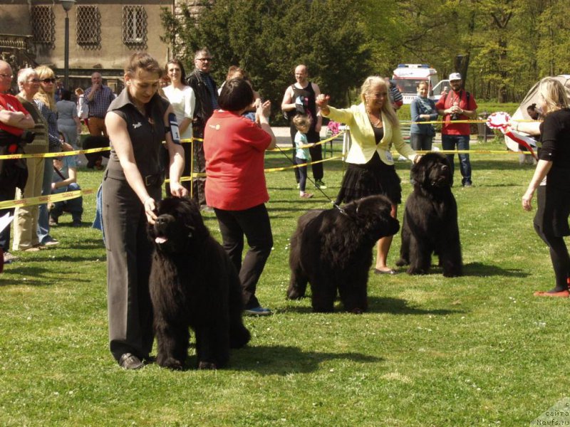 Фотография № 180805