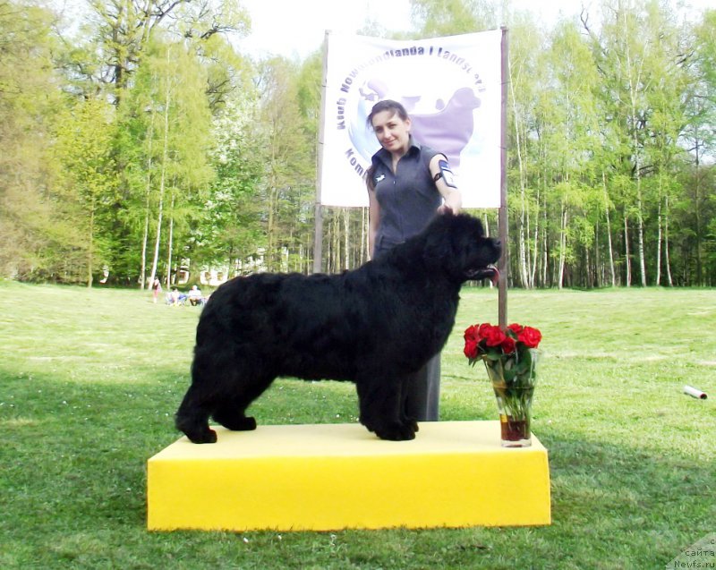 Фотография № 180806