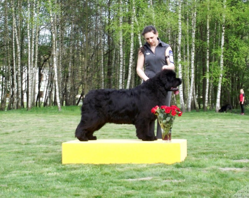 Фотография № 180807