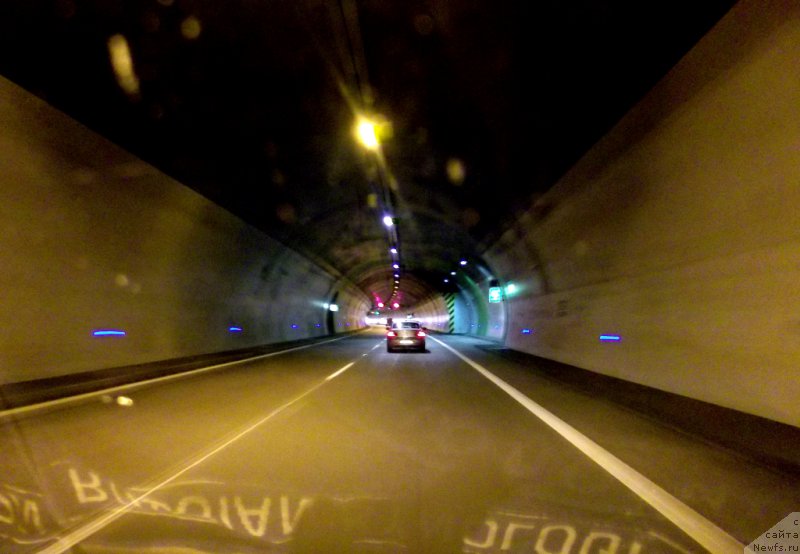 Фотография № 180809