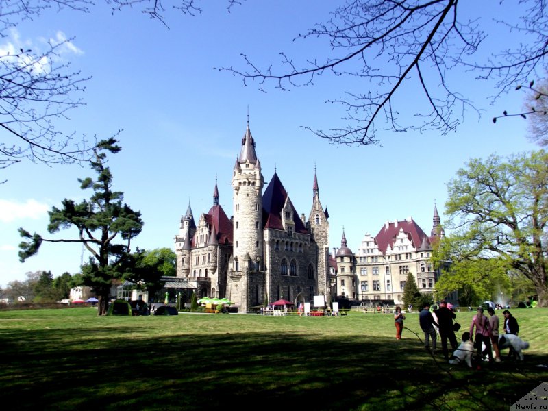 Фотография № 180813