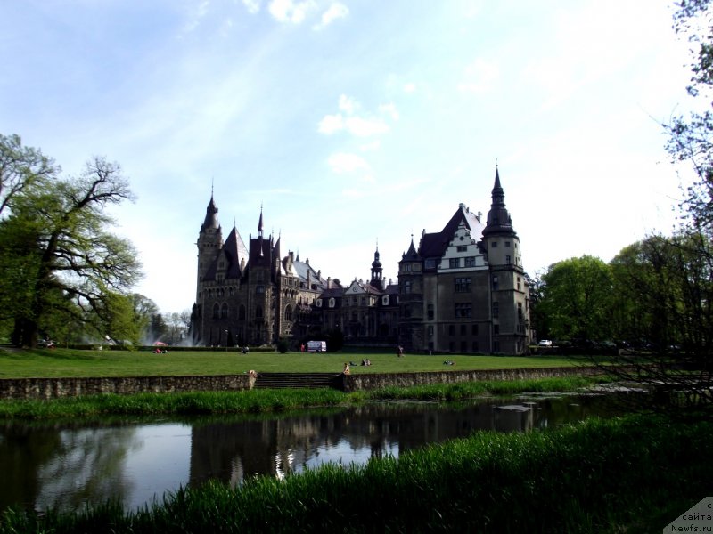 Фотография № 180814