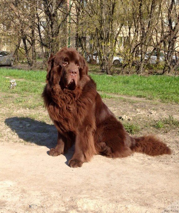 Фотография № 180832