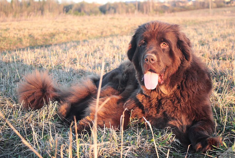 Фотография № 180836