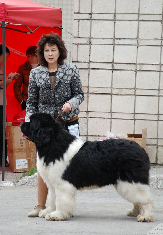 Фотография № 180837