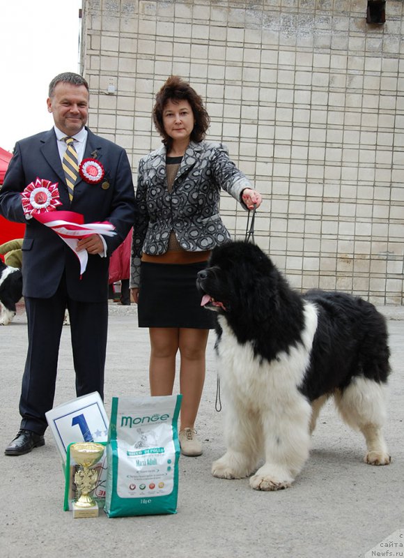 Фотография № 180838