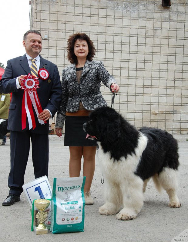 Фотография № 180839