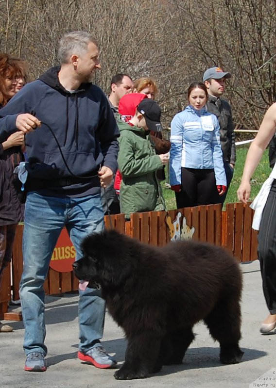 Фотография № 180844