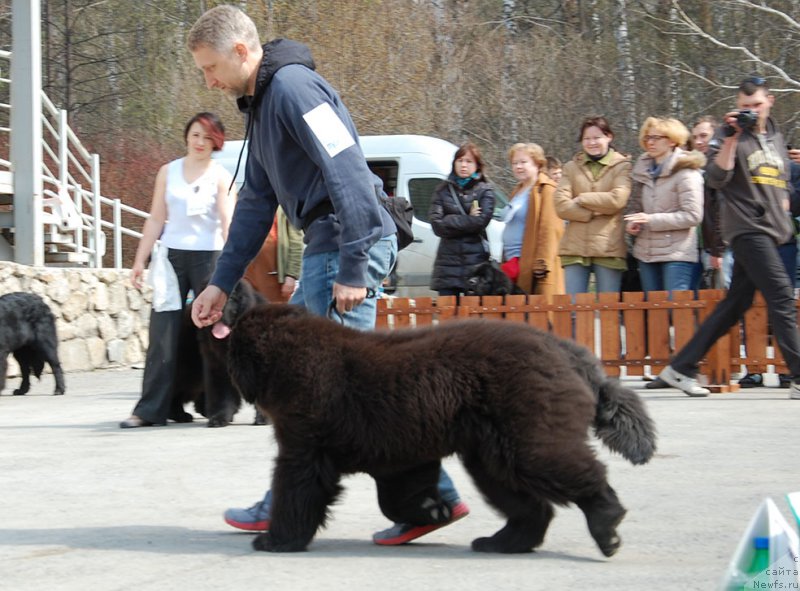 Фотография № 180845