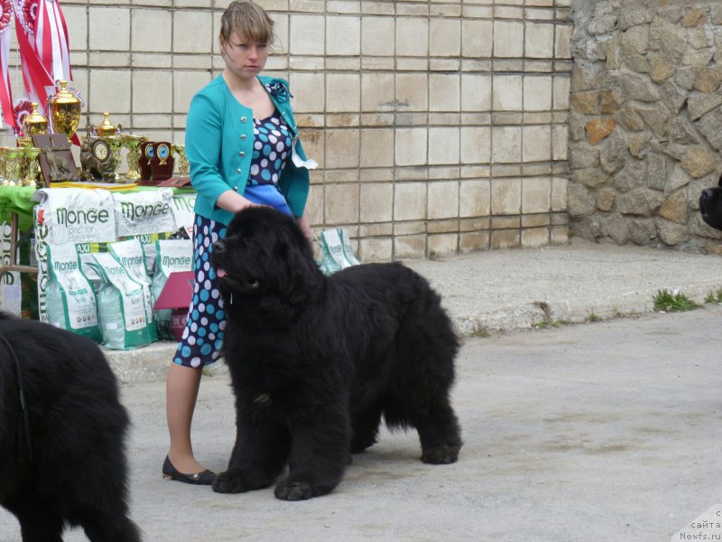 Фотография № 180879