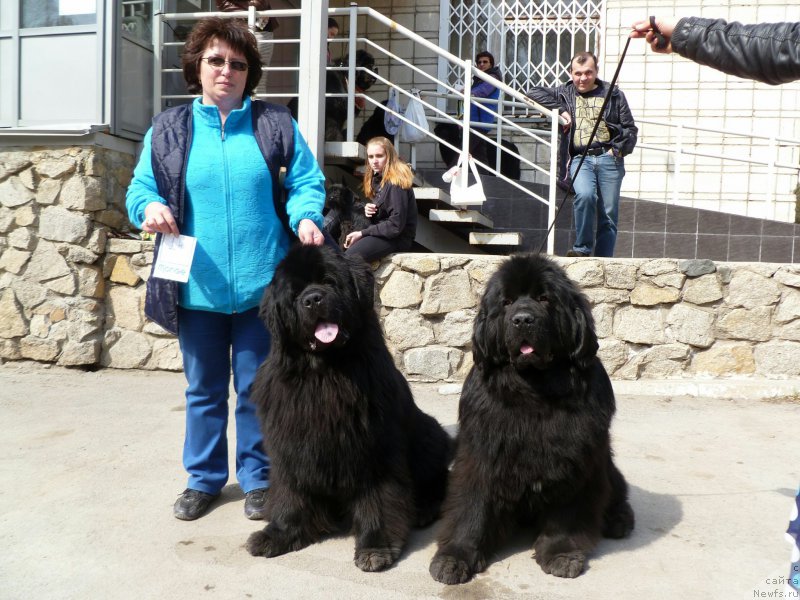 Фотография № 180880