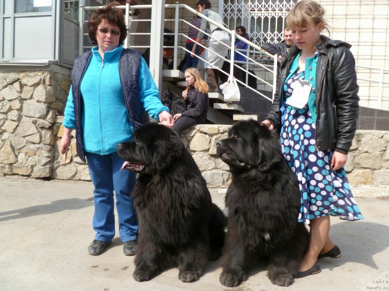 Фотография № 180881