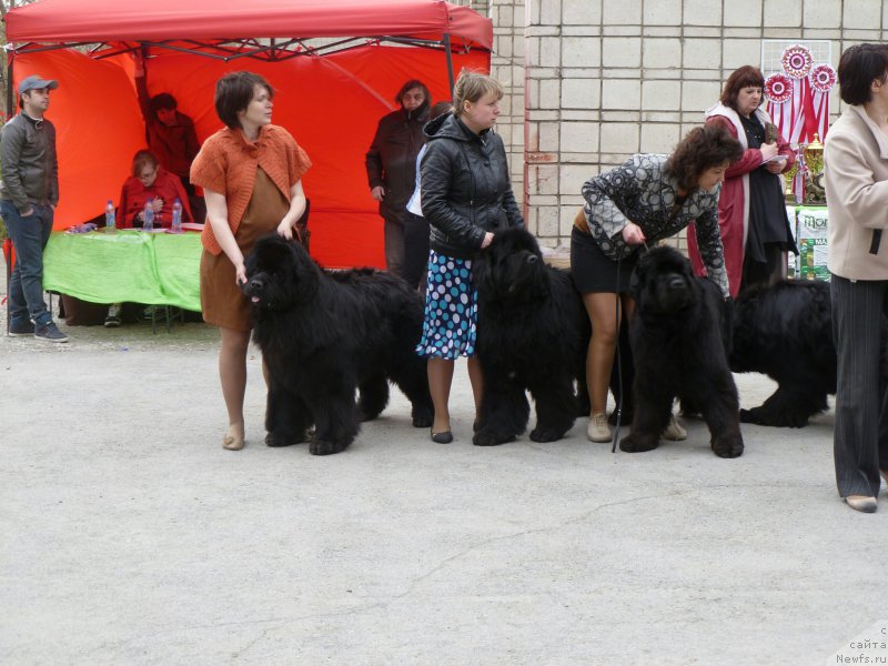 Фотография № 180882