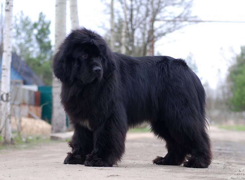 Фотография № 180895