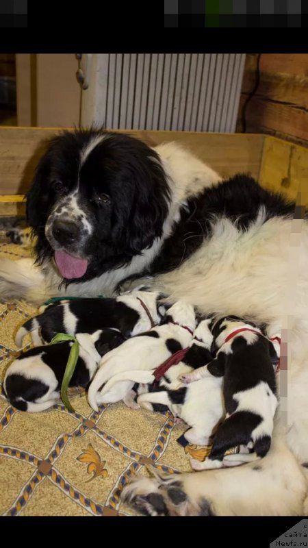 Фото: вместе с мамой