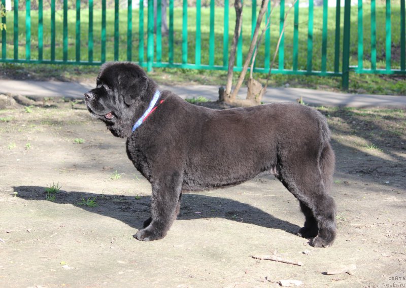 Фотография № 180949