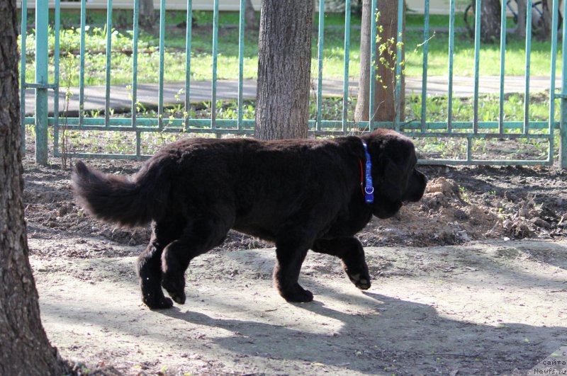 Фотография № 180950