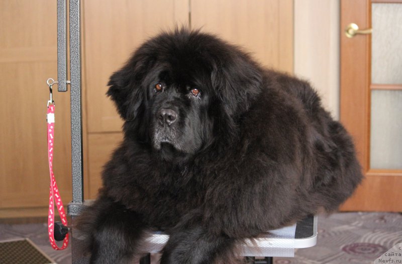 Фотография № 180952