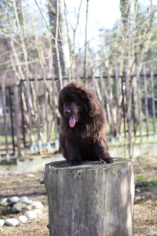 Фотография № 180954