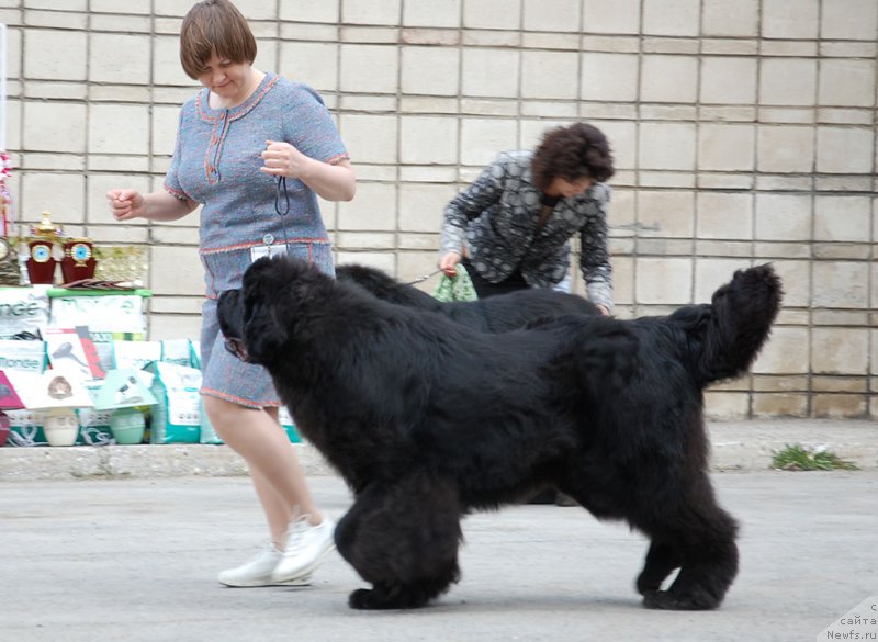 Фотография № 180965