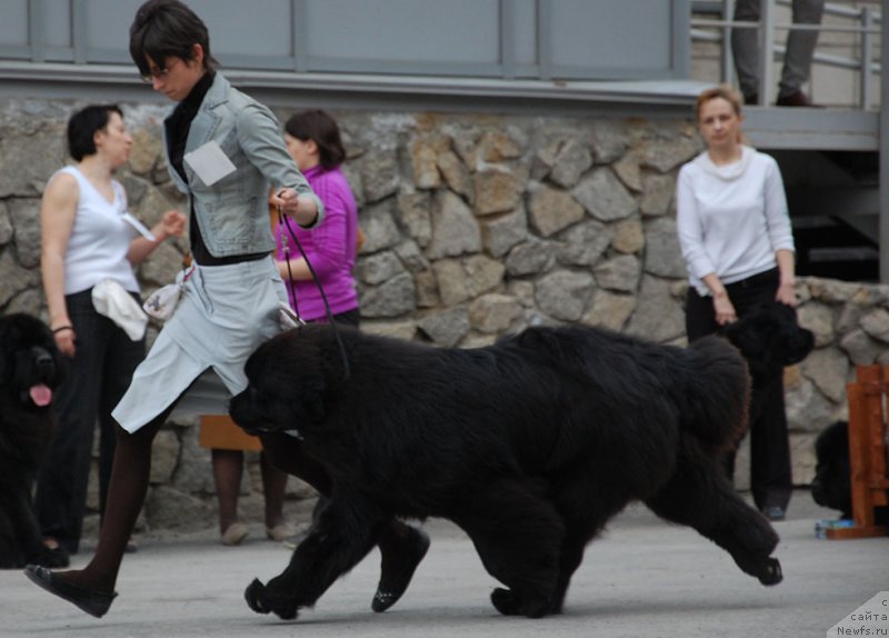 Фотография № 180966