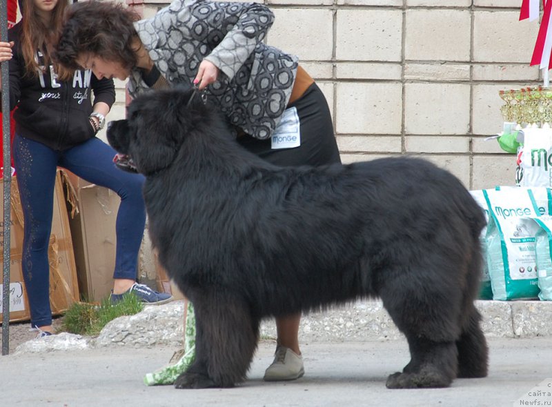 Фотография № 180967