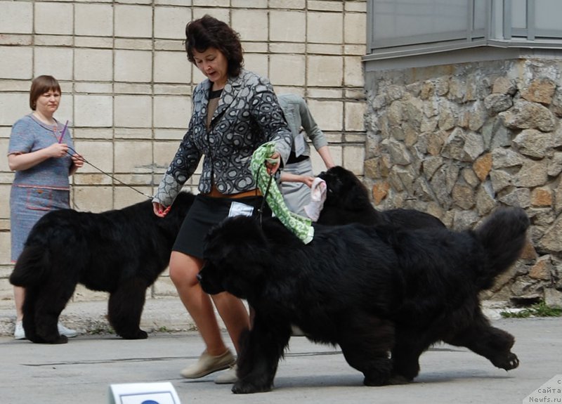 Фотография № 180968