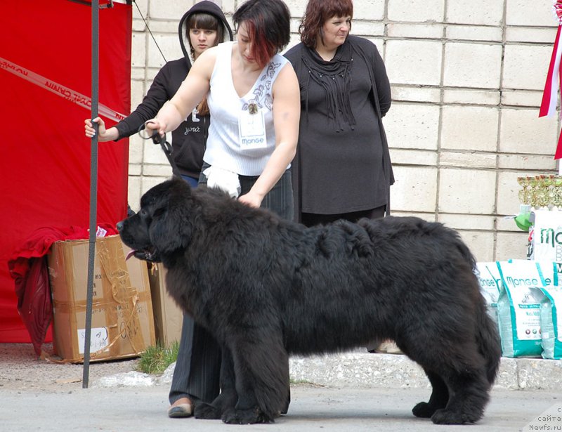 Фотография № 180969