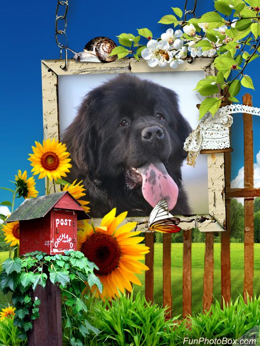 Фотография № 181006