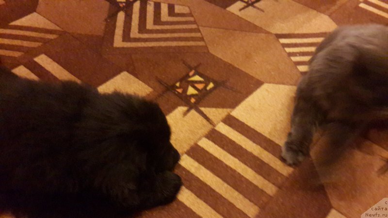 Фотография № 181027