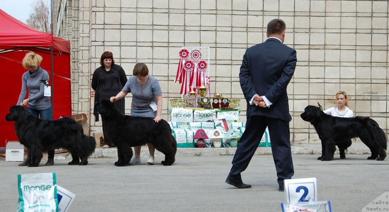 Фотография № 181040