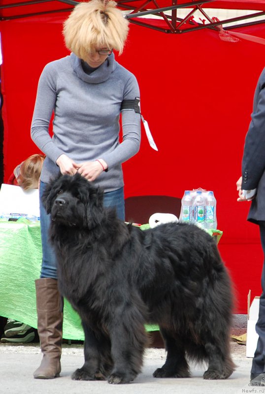 Фотография № 181046