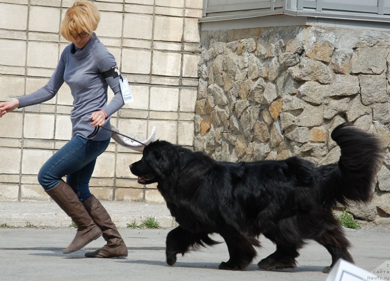 Фотография № 181047