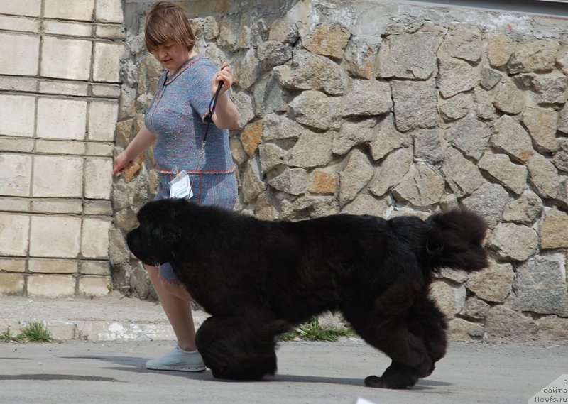 Фотография № 181049