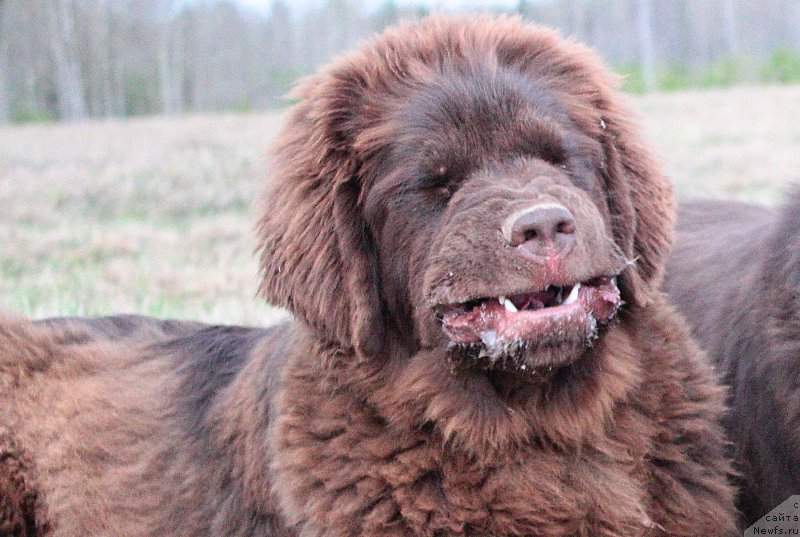 Фотография № 181051