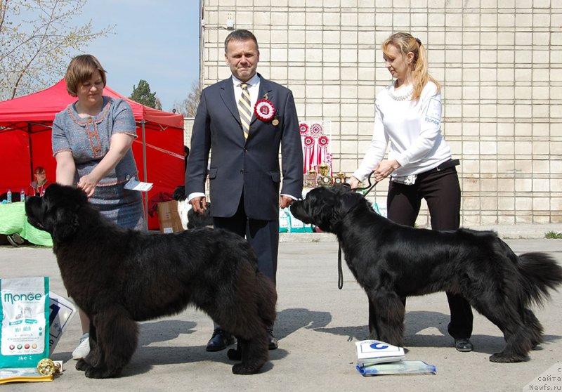 Фотография № 181052