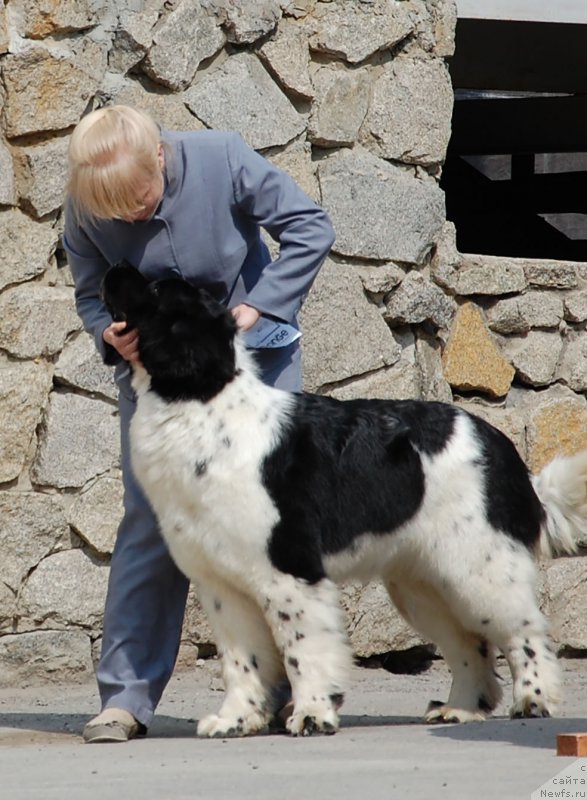 Фотография № 181055