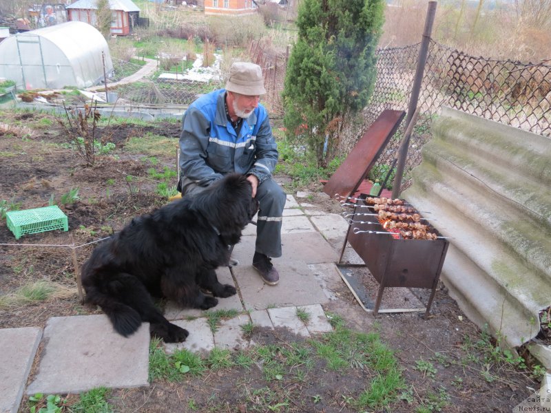 Фотография № 181071