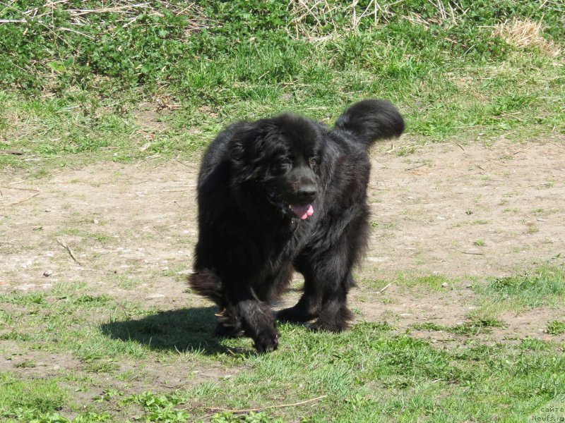 Фотография № 181073