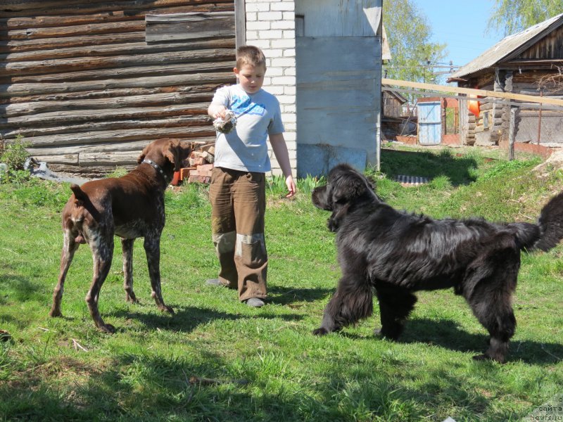 Фотография № 181075