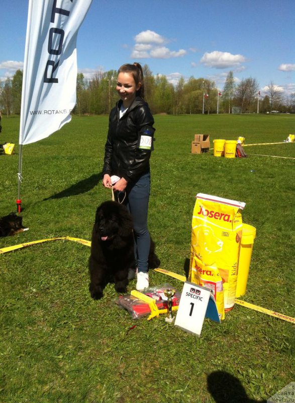 Фотография № 181077