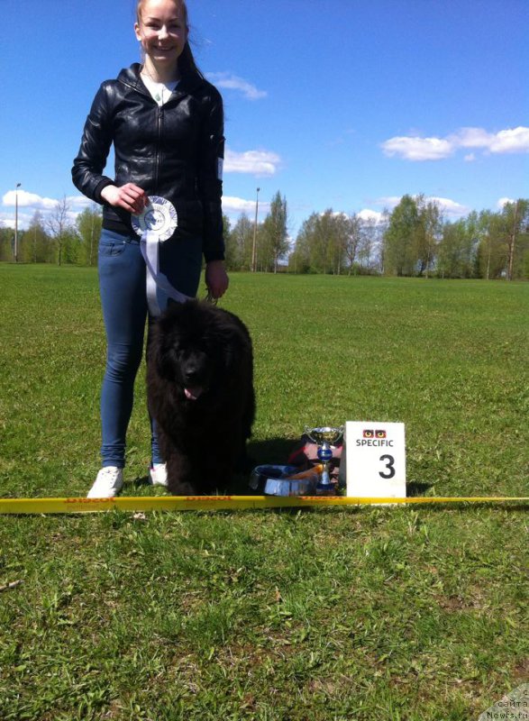 Фотография № 181078