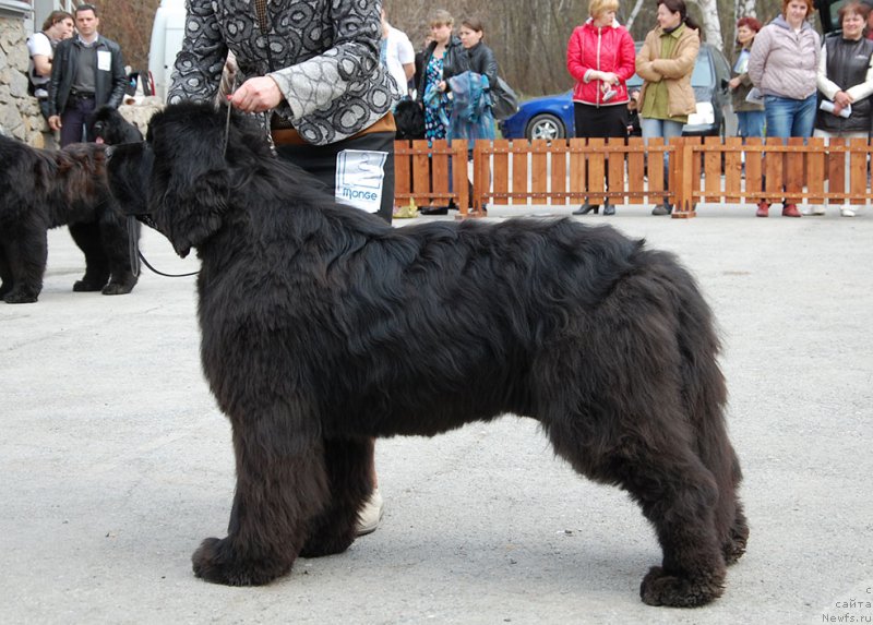 Фотография № 181085