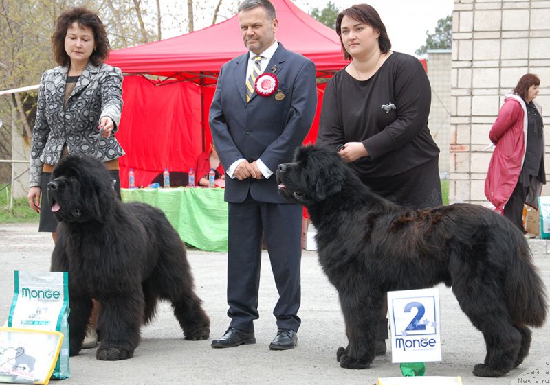 Фотография № 181086