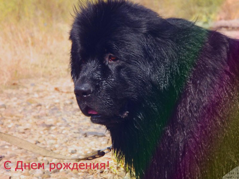 Фотография № 181091