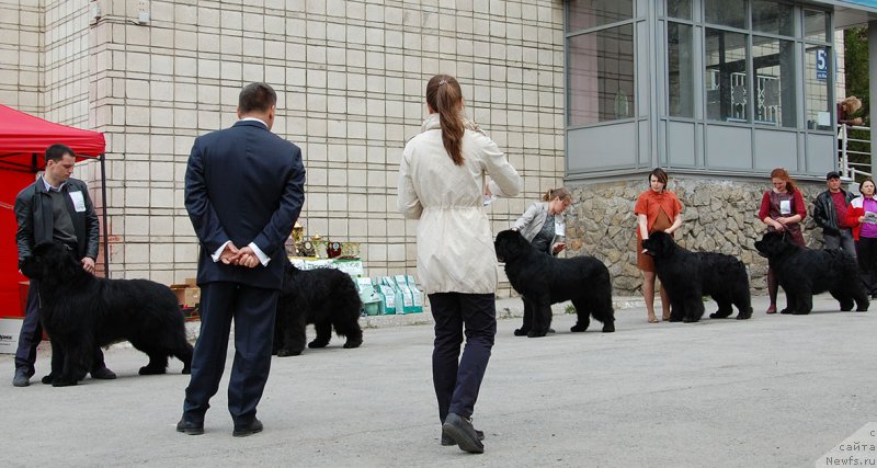 Фотография № 181094