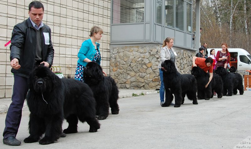 Фотография № 181095